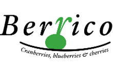 logo_berrico.png